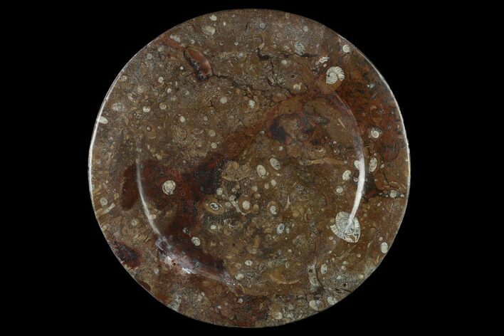 Fossil Orthoceras & Goniatite Round Plate - Stoneware #133554